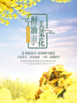油菜花