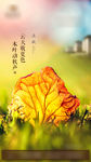 地产住宅立秋节气微信海报