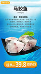 生鲜网络小海报设计马鲛鱼