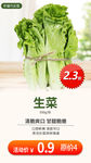 生鲜网络小海报设计生菜