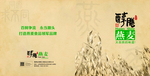 燕麦画册封面