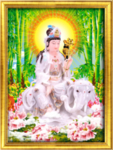 普贤菩