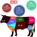 牛肉的各个部位分布图