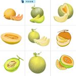 新疆哈密瓜