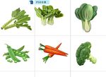 新鲜蔬菜