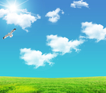 天空