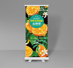 易拉宝 金赣橙 海报 橙子插画