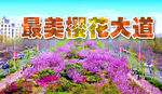 樱花分层图