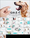 宠物医疗医院病例分析讨论ppt