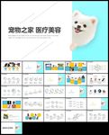 宠物行业宠物宠物狗宠物医院宠物