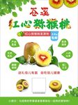 红心猕猴桃海报