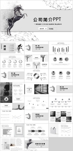 公司简介PPT