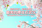 最美樱花在武汉