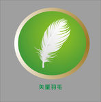 矢量羽毛