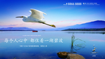 湖景 白鹭