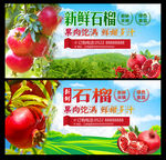 新鲜石榴
