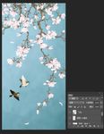 花鸟