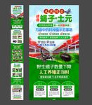 蝎子土元养殖