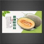 哈密瓜