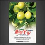 肯枣