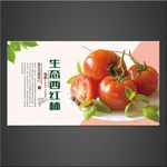 西红柿