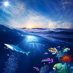 海底世界