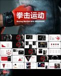 拳击格斗搏斗比赛拳击比赛ppt