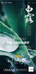 白露