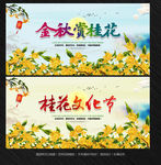 桂花