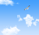 蓝天