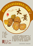 大黄 黄良 火参 手绘中药