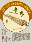 党参 黄参 防党参手绘中药