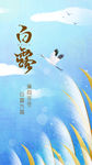 白露