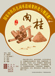 肉桂 中医药名词推广 手绘中药