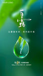 白露 微信