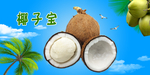 椰子宝
