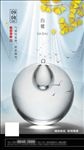 白鹭