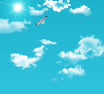 蓝天