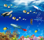海底世界