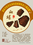 血竭 中医药名词推广 手绘中药