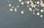 花鸟图