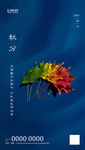 秋分