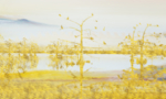 抽象油画