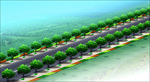 道路绿化效果图