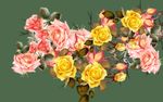 牡丹花鸟