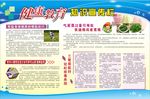 慢跑技巧