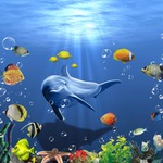 海底世界