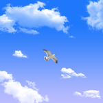 蓝天