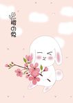 樱之兔