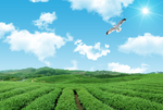 蓝天